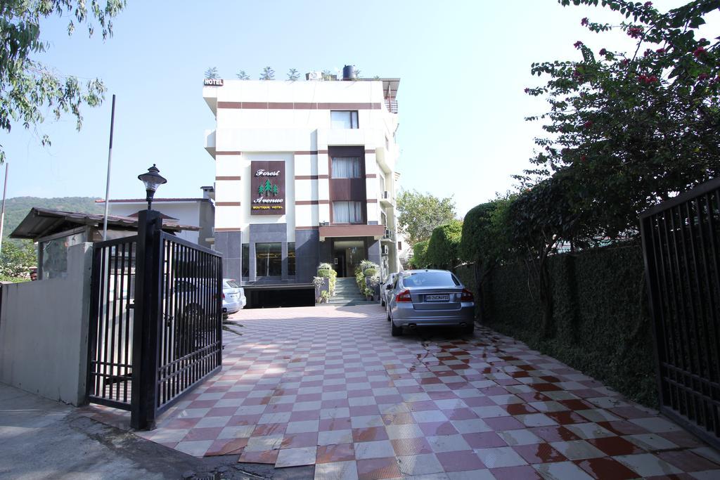 Hotel Forest Avenue - Best Luxury Hotel In Dehradun Eksteriør billede