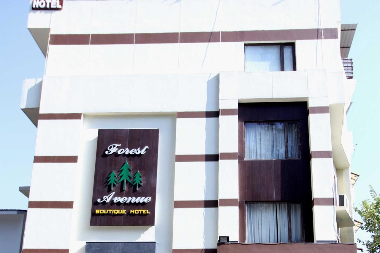 Hotel Forest Avenue - Best Luxury Hotel In Dehradun Eksteriør billede